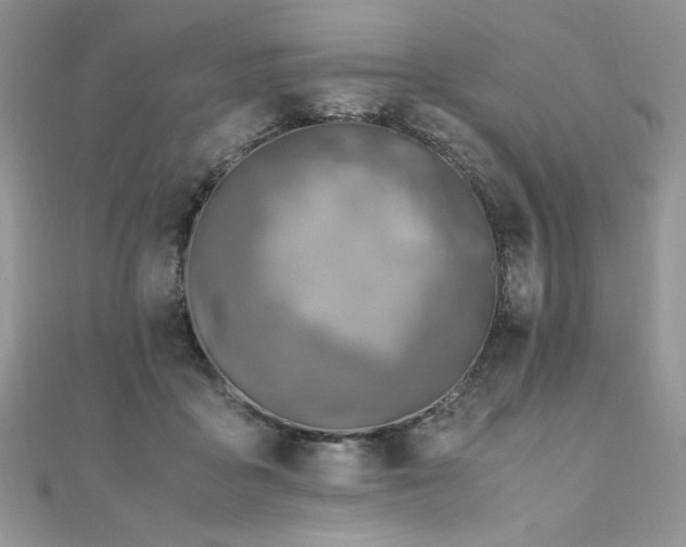 X0000110930411200906181433