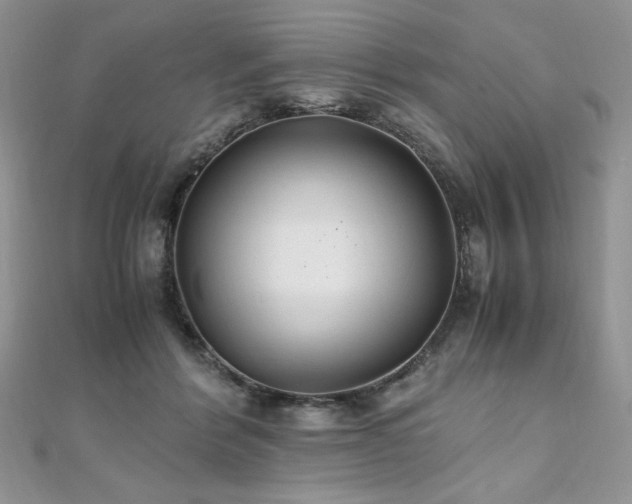 X0000110930412200906181433