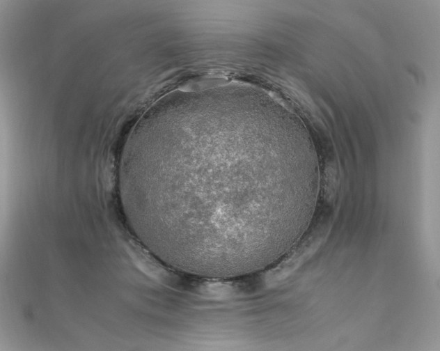 X0000110930413200906181433
