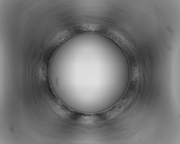 X0000110930414200906181433