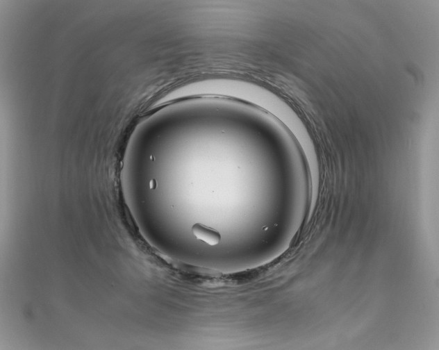 X0000110930415200906181433