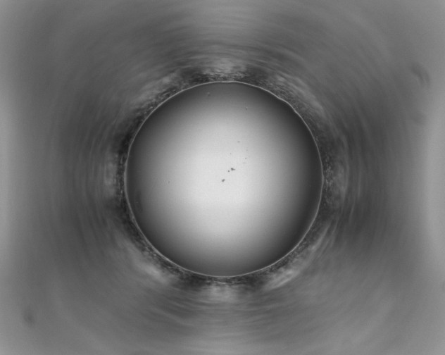 X0000110930416200906181433