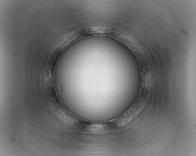 X0000110930418200906181433