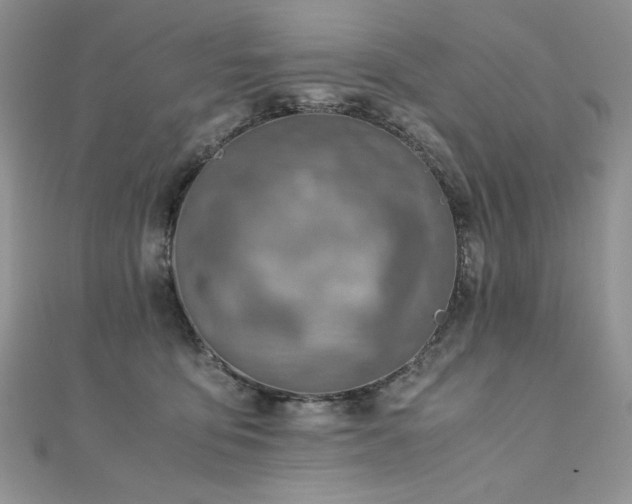 X0000110930419200906181433