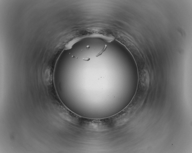 X0000110930420200906181433