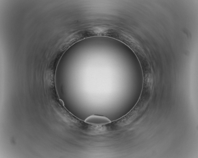 X0000110930421200906181433