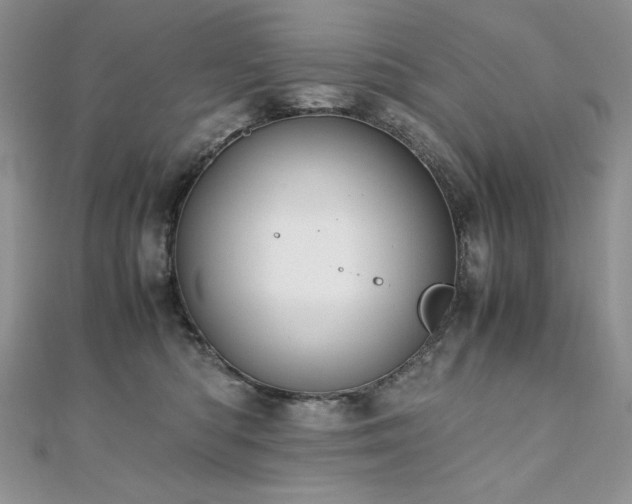 X0000110930422200906181433