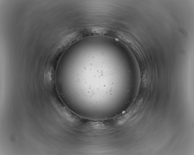 X0000110930424200906181433