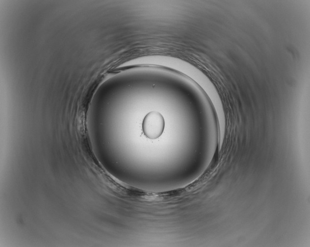 X0000110930425200906181433