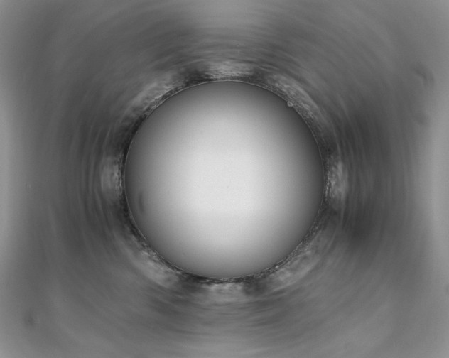 X0000110930426200906181433
