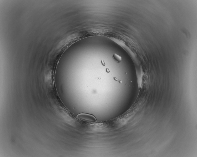 X0000110930428200906181433