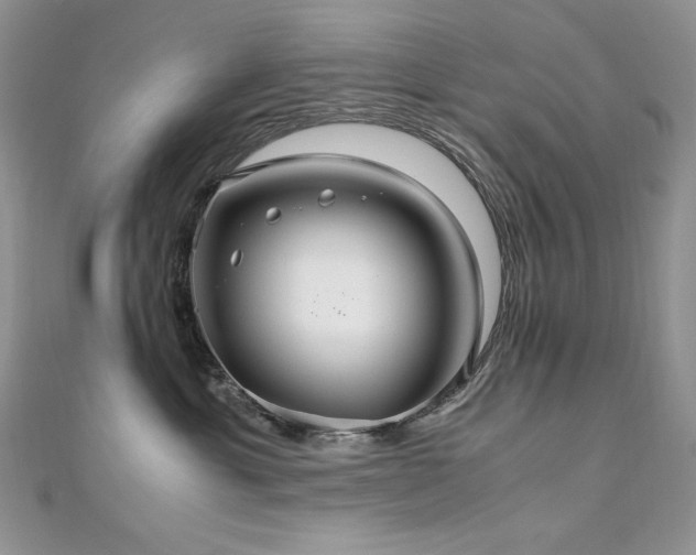 X0000110930429200906181433