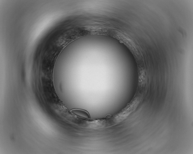 X0000110930430200906181433