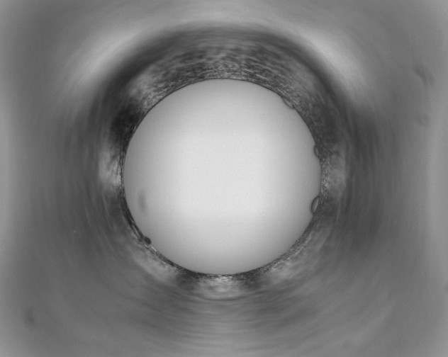 X0000110930431200906181433