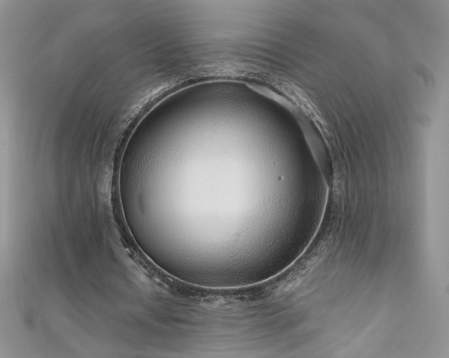 X0000110930434200906181432