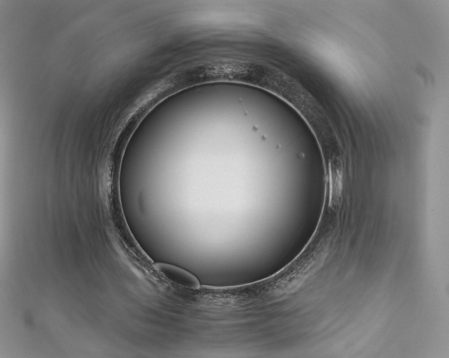 X0000110930435200906181432