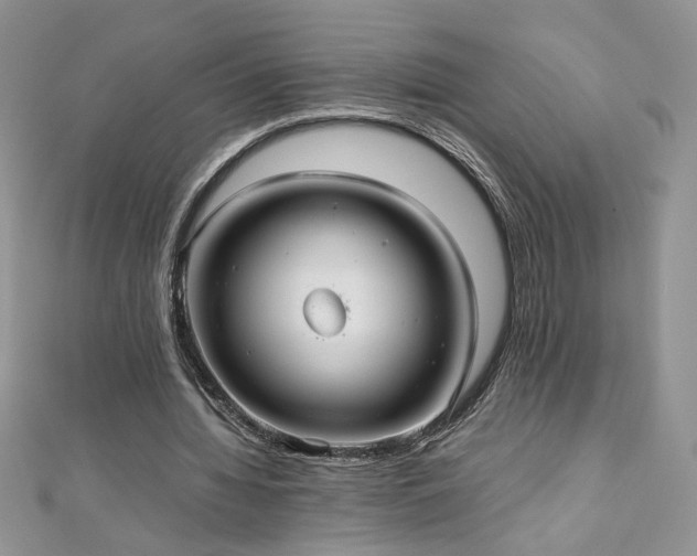 X0000110930436200906181432