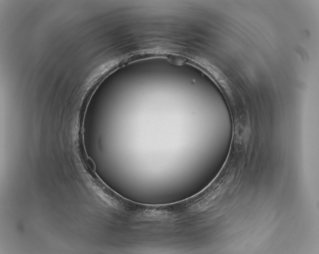 X0000110930437200906181432