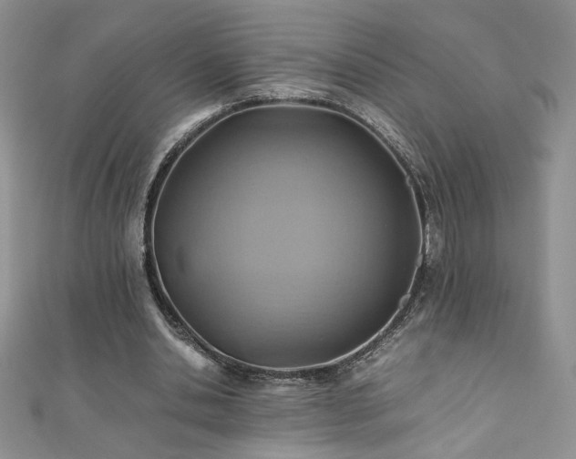 X0000110930438200906181432