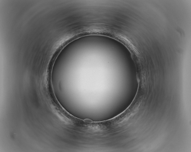 X0000110930439200906181432