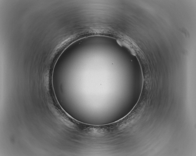 X0000110930442200906181432