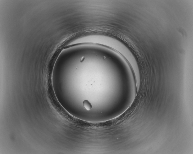 X0000110930444200906181432