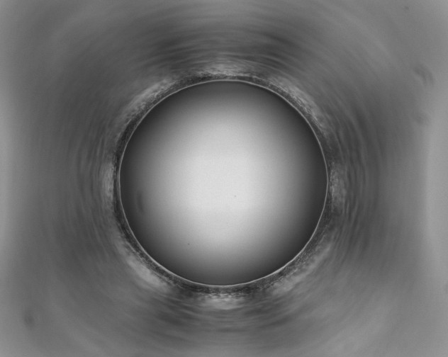 X0000110930445200906181432