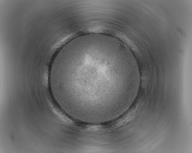 X0000110930446200906181432