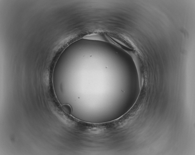 X0000110930447200906181432