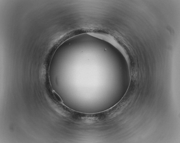 X0000110930448200906181432