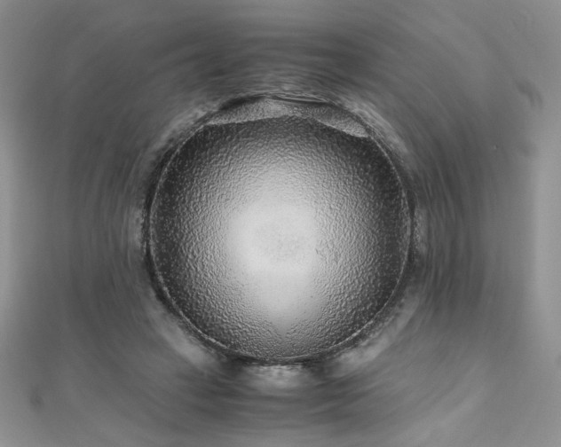 X0000110930449200906181432