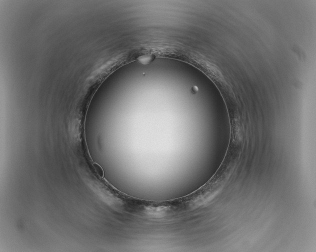 X0000110930450200906181432