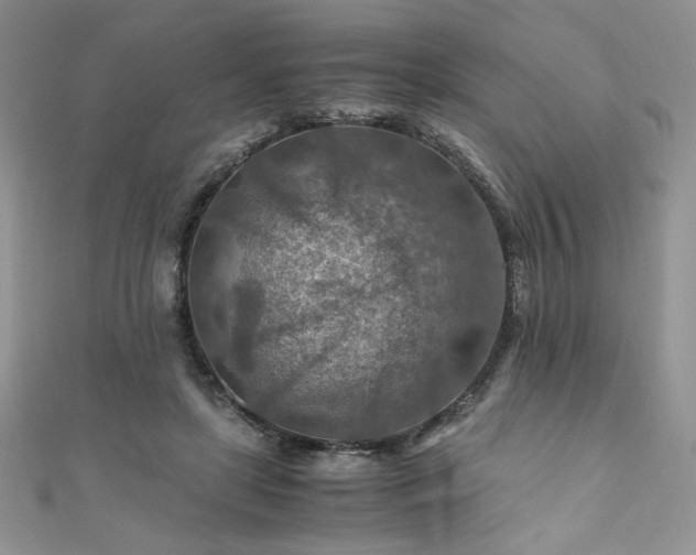 X0000110930451200906181432