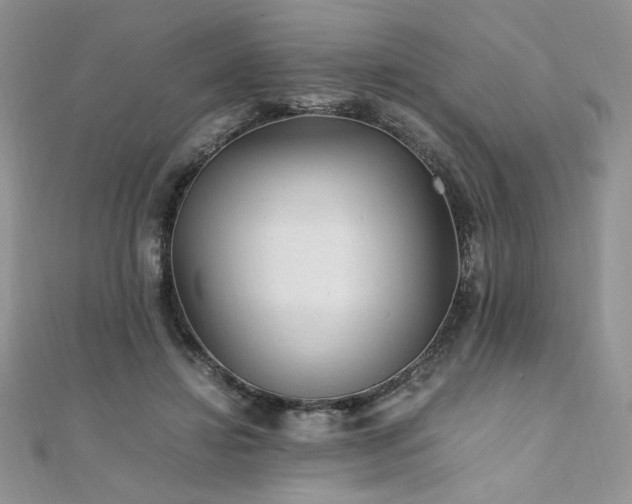 X0000110930452200906181432
