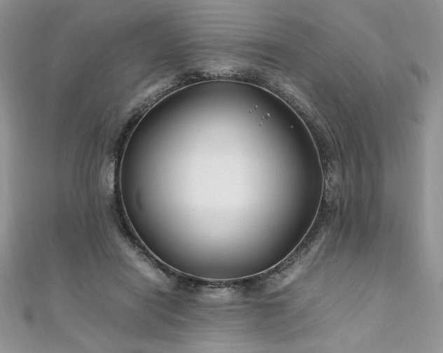 X0000110930454200906181432