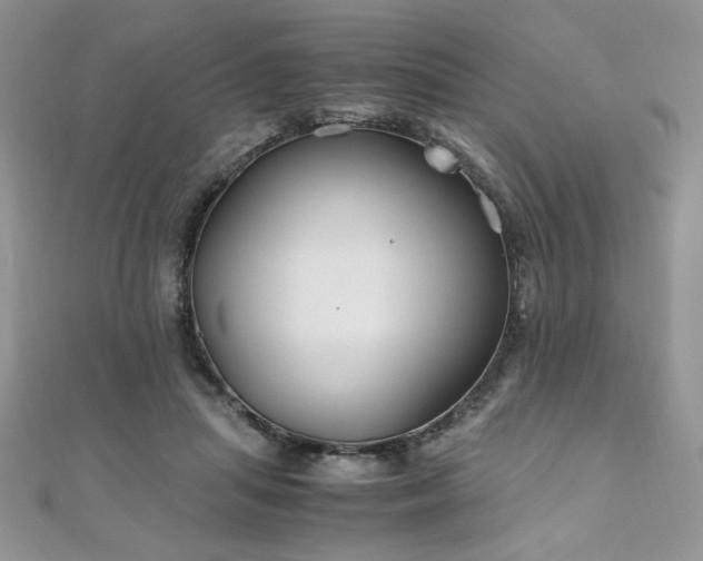 X0000110930455200906181432