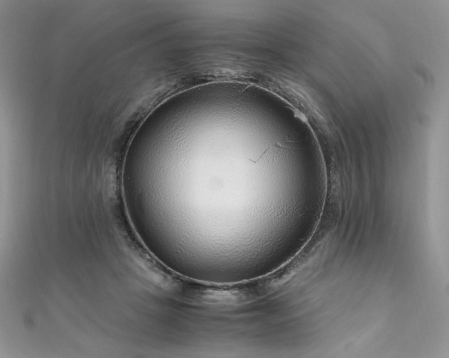X0000110930457200906181432