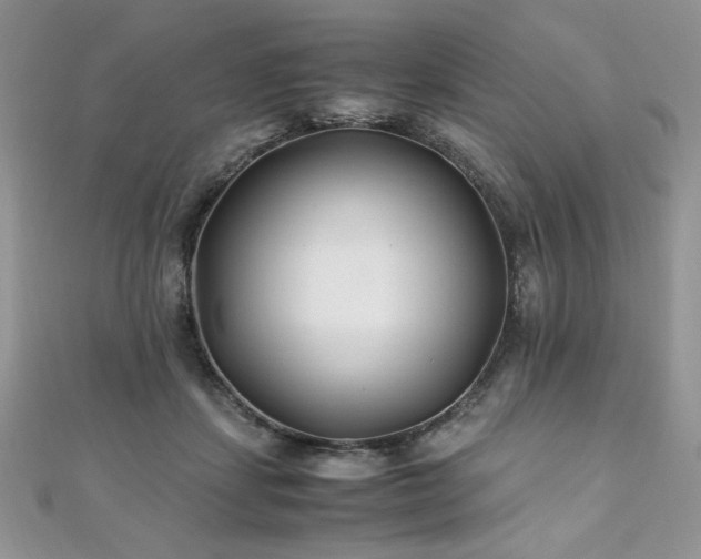 X0000110930459200906181432