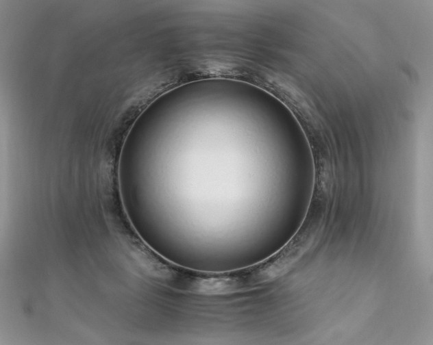X0000110930461200906181432