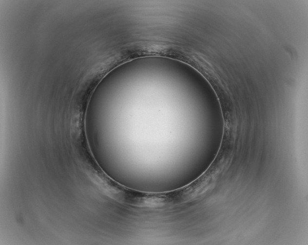 X0000110930462200906181432
