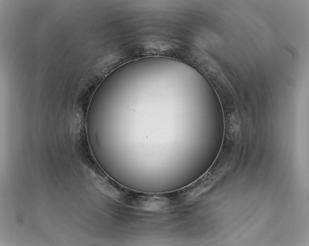 X0000110930463200906181432