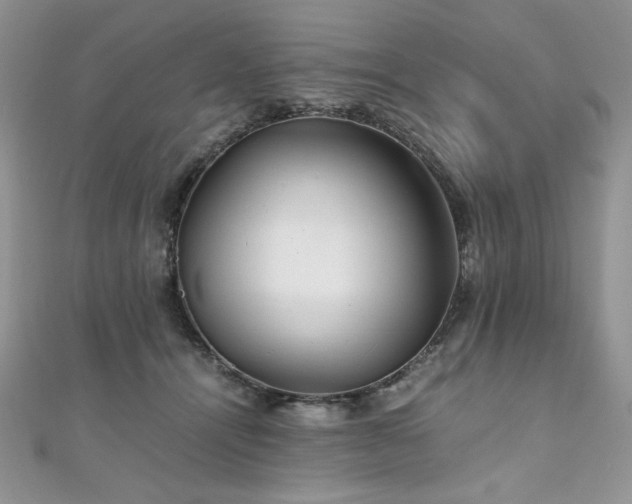 X0000110930464200906181432