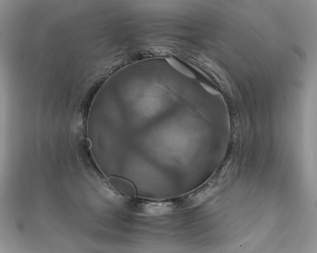 X0000110930465200906181432