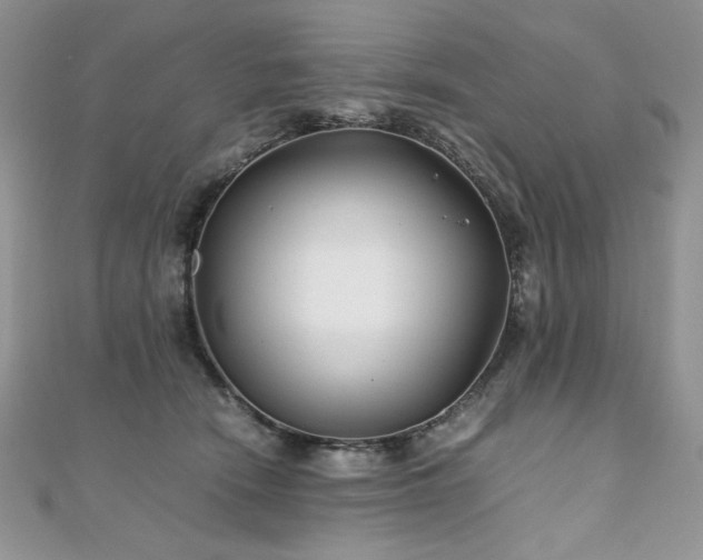 X0000110930466200906181432