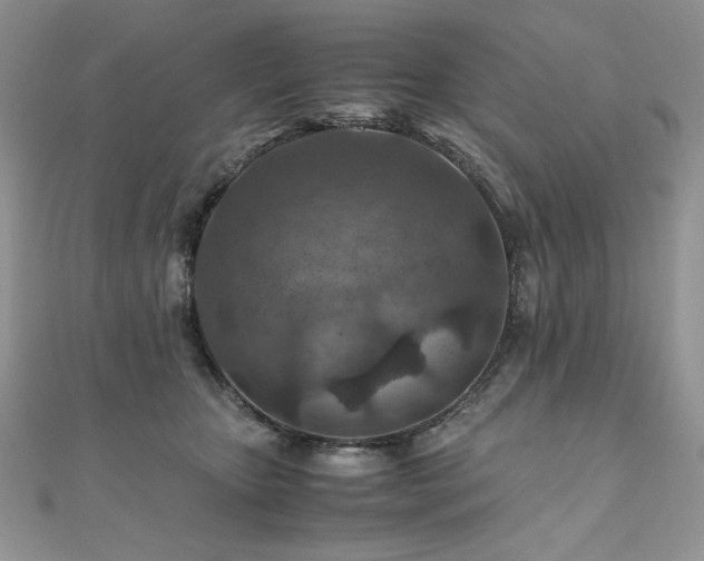 X0000110930467200906181432
