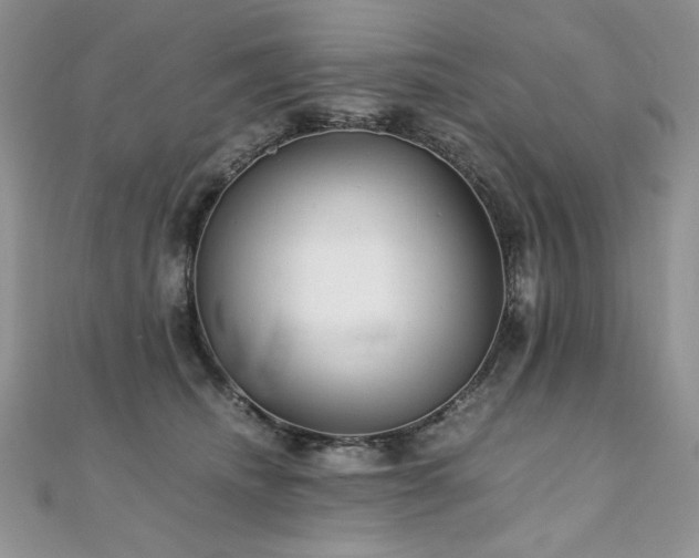 X0000110930468200906181432