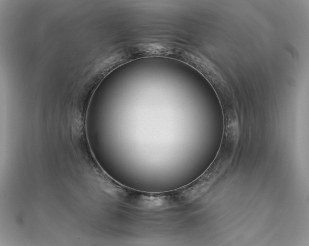 X0000110930469200906181432
