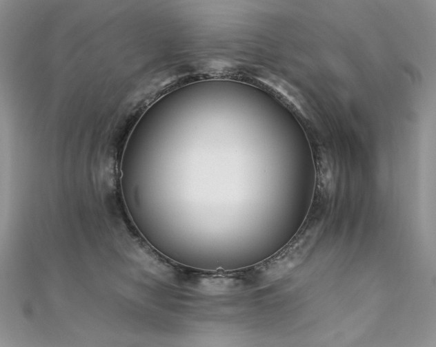 X0000110930470200906181433