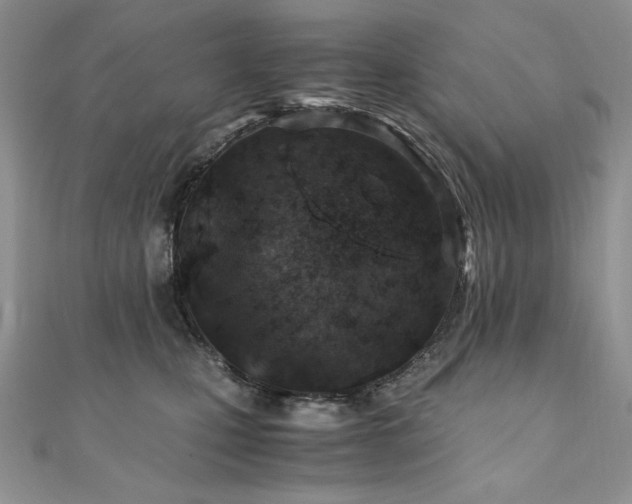 X0000110930471200906181433