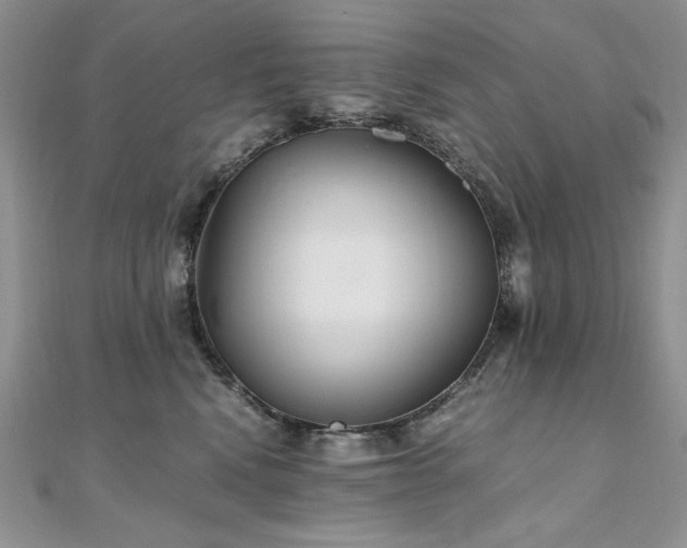 X0000110930472200906181433